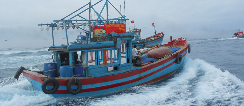 Đấu giá tàu đánh cá, vỏ gỗ