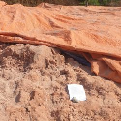 Đấu giá tài sản – Bùn dinh dưỡng sau ép của Xưởng NPK – Nhà máy Đạm Phú Mỹ