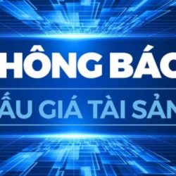 Đấu giá QSD 08 thửa đất tại xã Châu Pha, TP. Hồ Chí Minh (Thông báo lần 3)