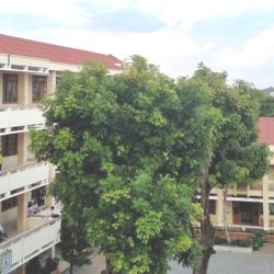 Trường THPT Phước Bửu cho thuê DV căn tin, nhà trông giữ xe