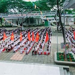 Đấu giá cho thuê khai thác dịch vụ căng tin, nhà xe tại Trường THPT Trần Phú