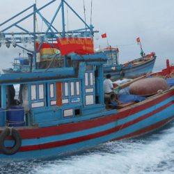 Đấu giá tàu đánh cá, vỏ gỗ